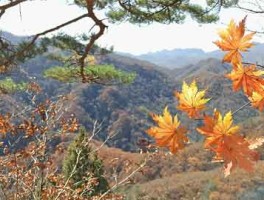 重阳节 | 谨防养老诈骗，保护逆生长的老年人们