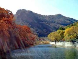 仙友道第一期内部分享圆满结束