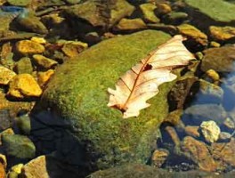 海上生明月，天涯共此时